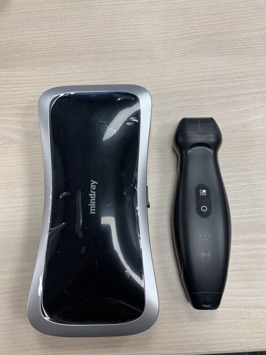 На тренинге был протестирован уникальный сканер-датчик УЗИ Mindray TE Air для диагностики у постели больного