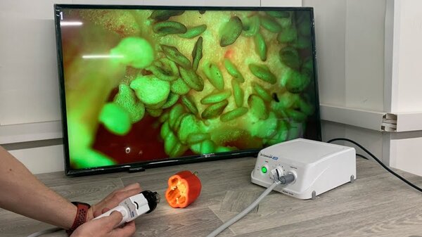 Обзор медицинских видеосистем Dr. Camscope