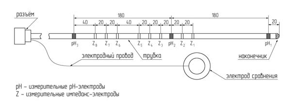 Рис. 2. ZpH-зонд (ZpH-1) с двумя рН-электродами в пищеводе Рис. 2. ZpH-зонд (ZpH-1) с двумя рН-электродами в пищеводе