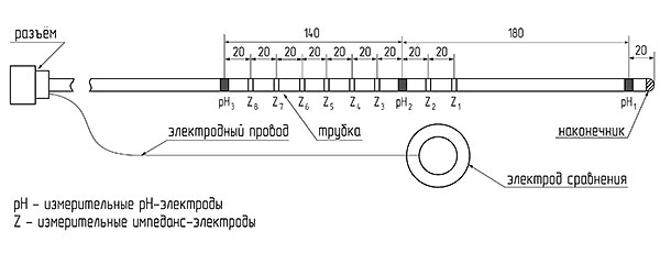 Рис. 2. ZpH-зонд (ZpH-3) с двумя рН-электродами в пищеводе Рис. 2. ZpH-зонд (ZpH-3) с двумя рН-электродами в пищеводе