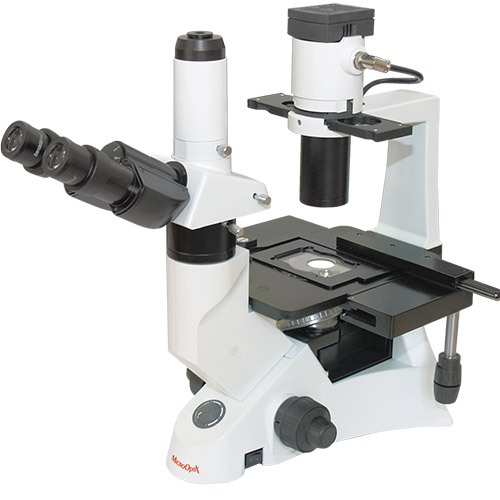 Инвертированные микроскопы - Микроскопы